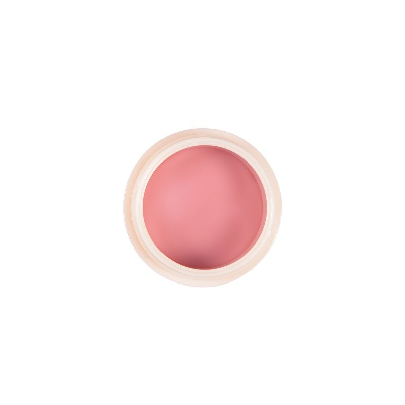 DIEGO DELLA PALMA REPAIR MY LIPS MASCHERA LABBRA RIPARATRICE 102-25ML TESTER - Profumo Web