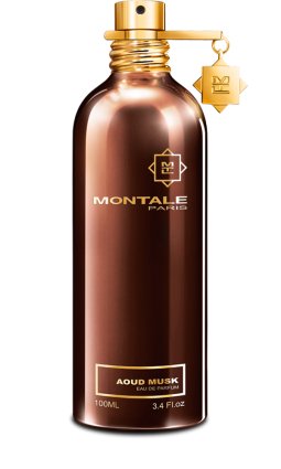 MONTALE Aoud Musk 100ML TESTER - Profumo Web